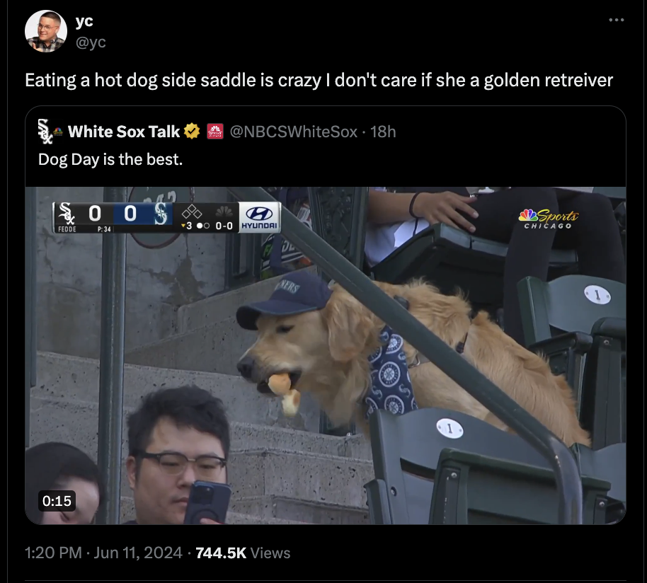 screenshot - Eating a hot dog side saddle is crazy I don't care if she a golden retreiver White Sox Talk Dog Day is the best. Sox 18h Feore P.34 3000 Hyundai Ners Views Sports Chicago